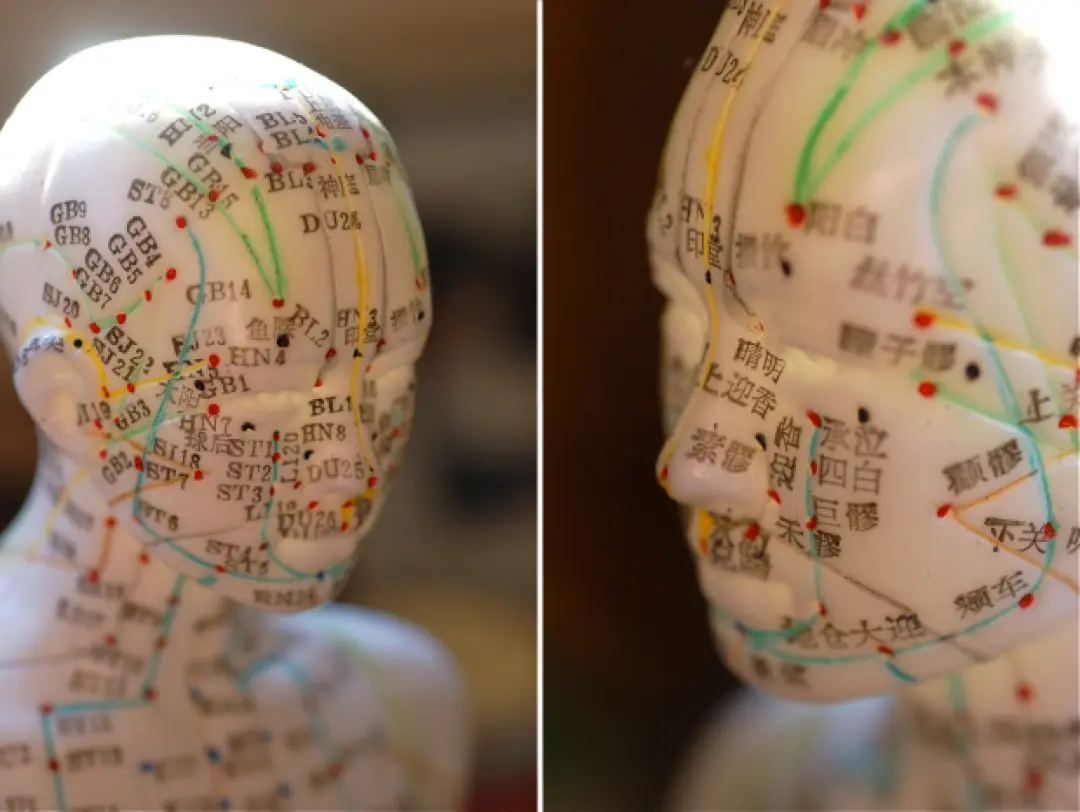 Les méridiens et points d'acupuncture de la tête