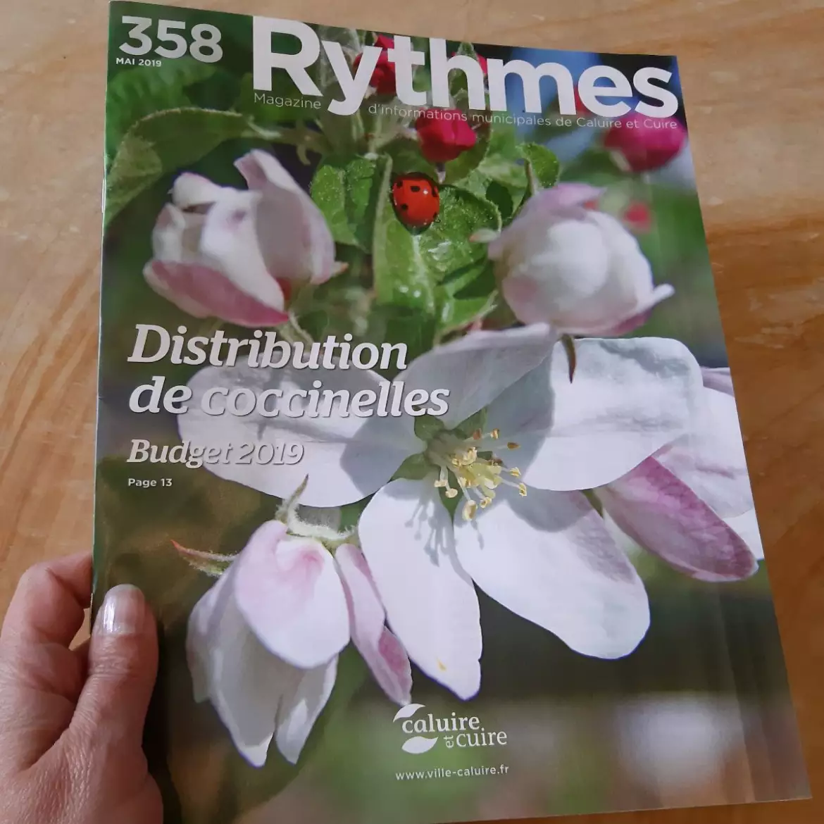 Rythmes Caluire, mai 2019