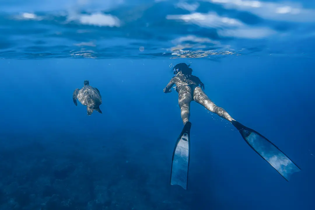 Snorkeling à Hikkaduwa - 7 jours Océan &Yoga