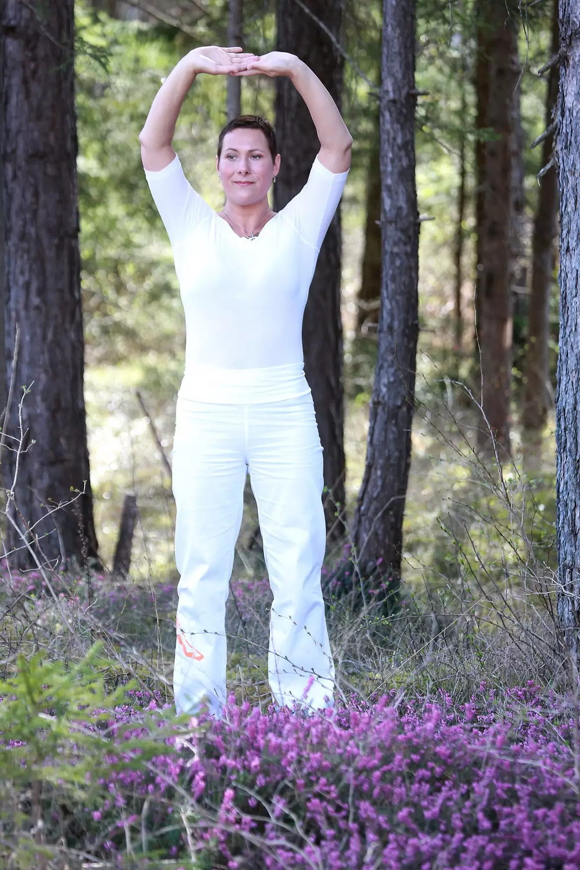 Qi gong, Chemin faisant