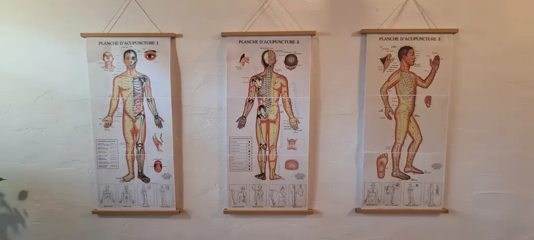 Planches des méridiens, MTC