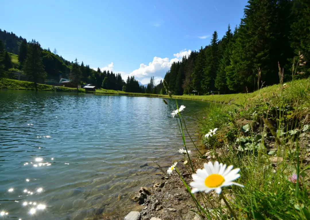 8 jours Rituels anti-stress | Shiatsu, Yoga, Do In, Cohérence cardiaque, Jeûne intermittent