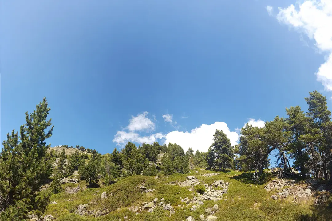 Les Alpes - Un regard vers le futur | Retraite Yoga & Shiatsu