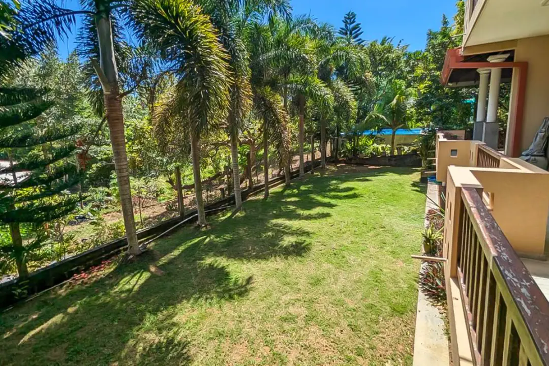 Vue panoramique sur la végétation sri lankaise depuis la villa Kenzen - calme et authenticité