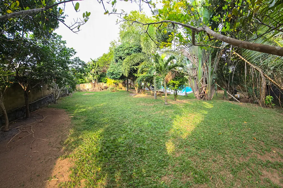 Villa Green view | Hikkaduwa