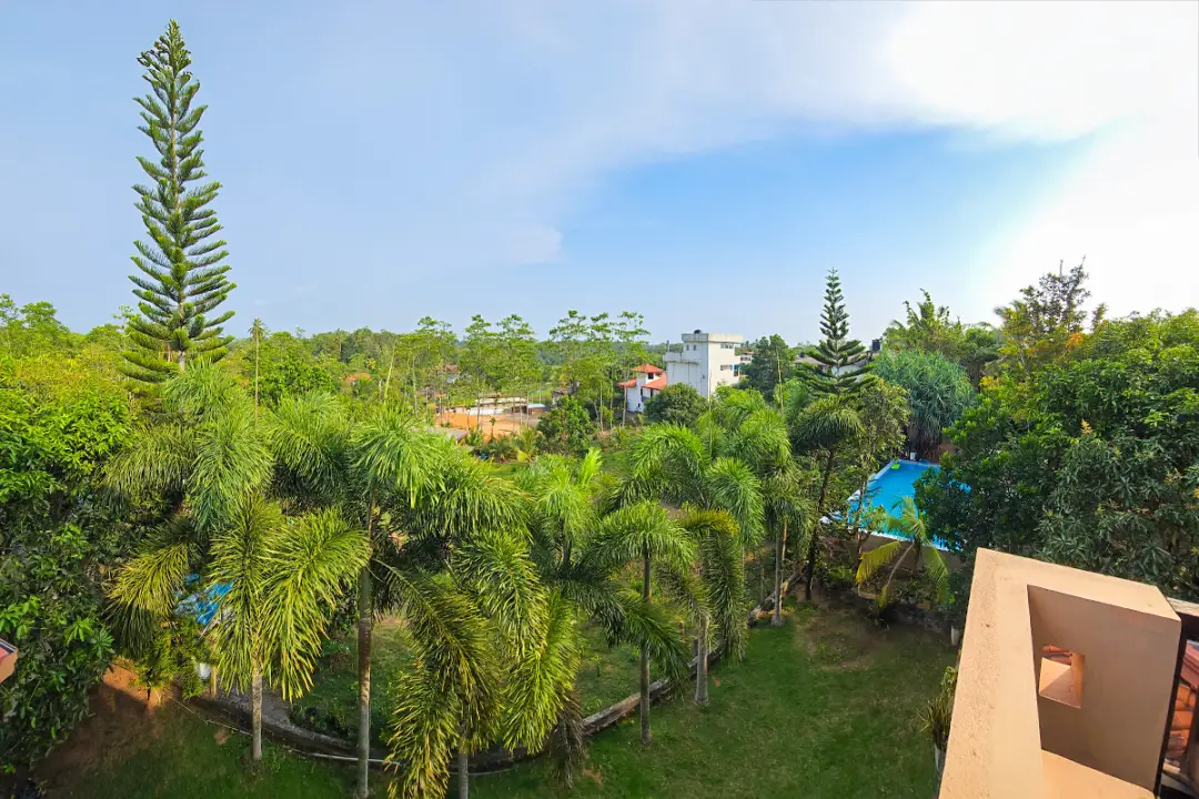 Chambre 6 | Suite Pepper