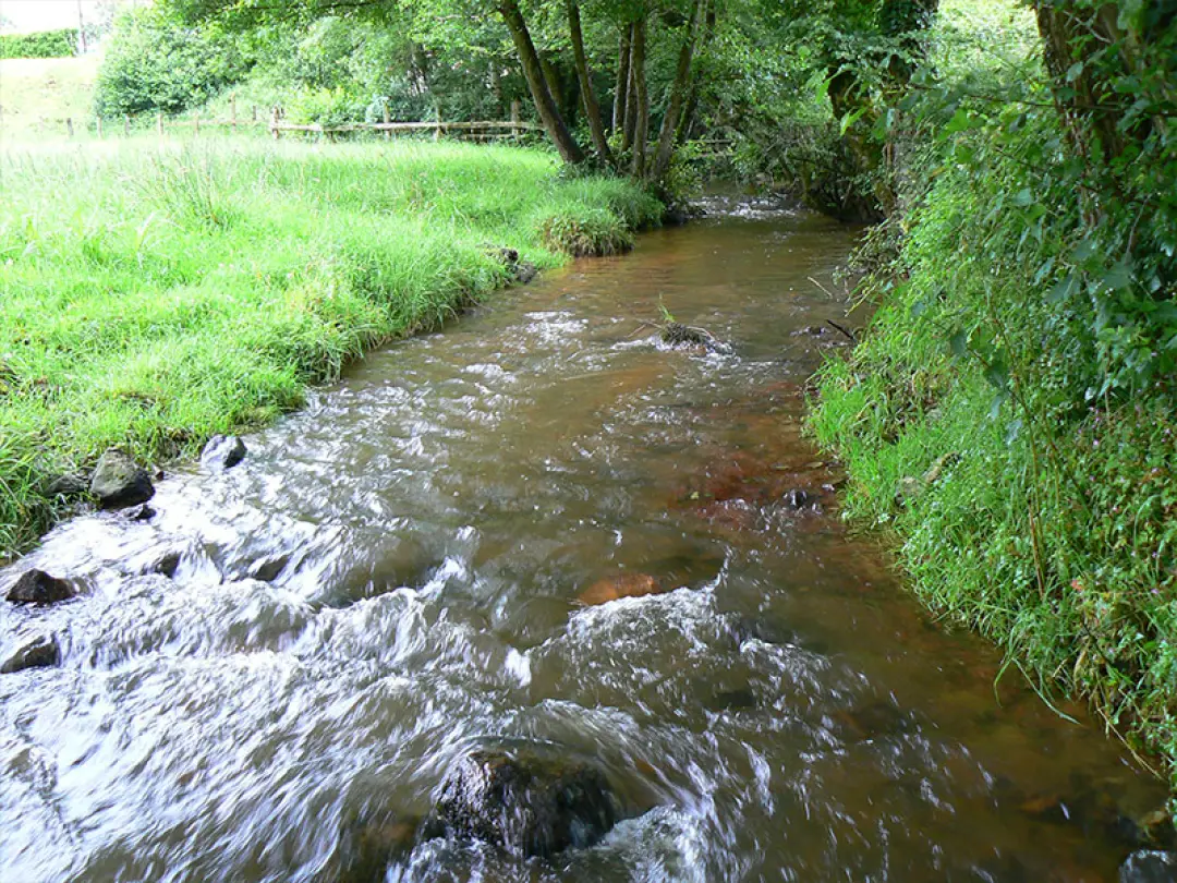 Gîte la Musardière