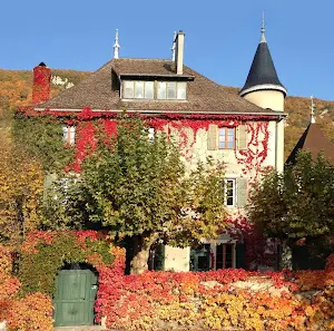 Kenzen Shiatsu & Yoga | Cours, séjours et retraites de Yoga, Shiatsu, Do in et relaxation - chateau