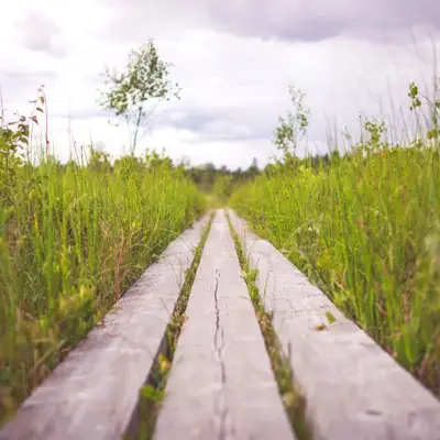 Kenzen Shiatsu et yoga Caluire-et-Cuire, Lyon et sa région