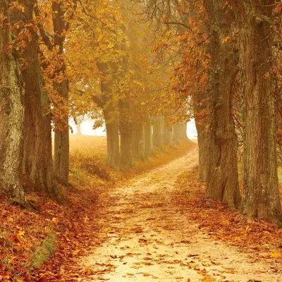 Weekend drainage d’automne