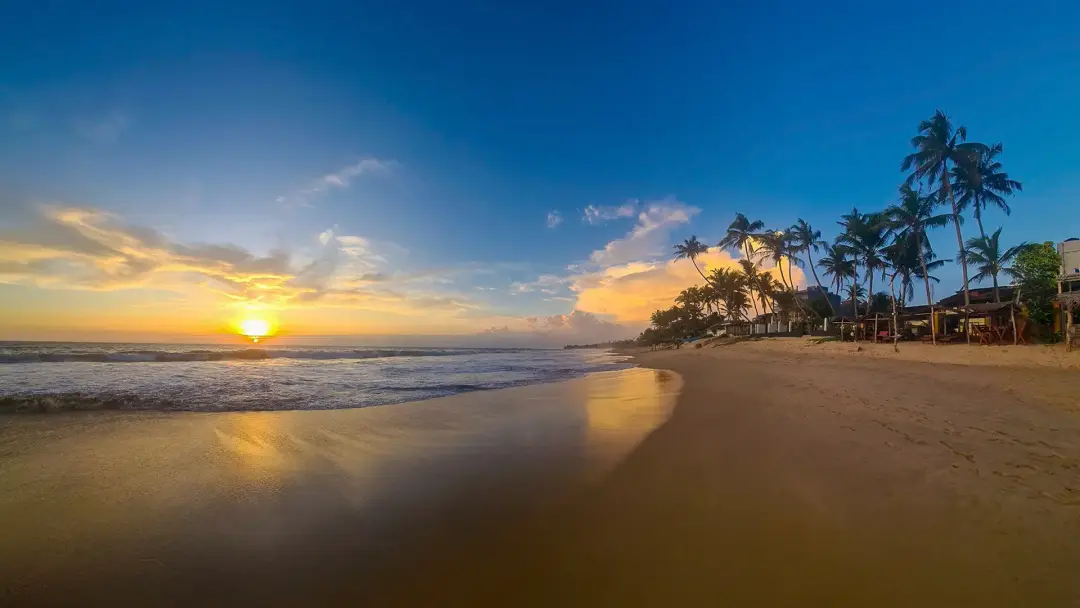 Plage de sable doré de Hikkaduwa, bordée de palmiers, avec ses bateaux de pêche colorés, lieu de détente du séjour yoga. | KenZen Shiatsu et Yoga