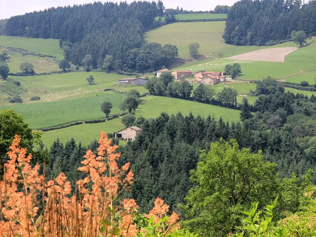 Gîte Cublizanes