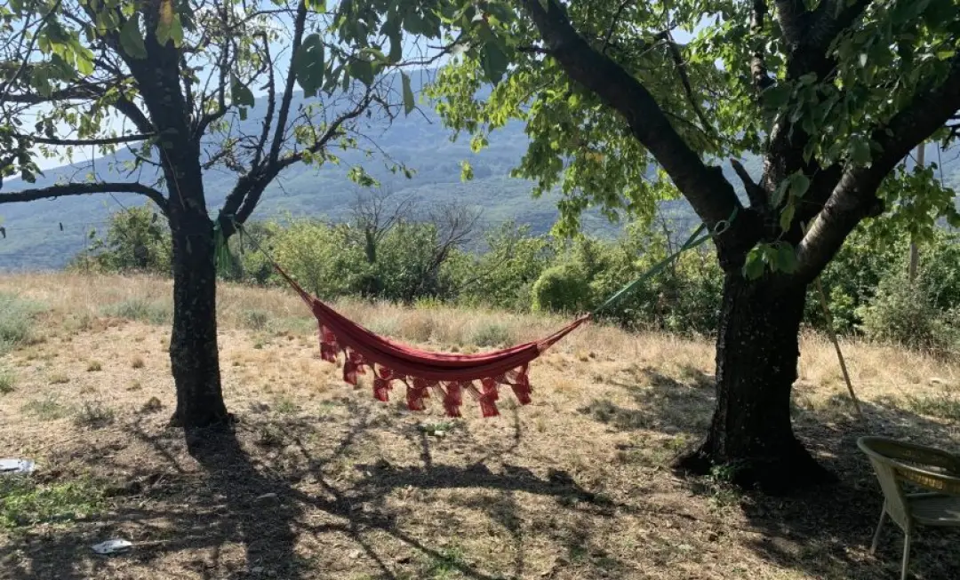 Mas Rouveyrac | France