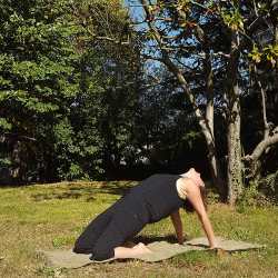 KenZen Shiatsu et Yoga Lyon - Do In : Etirement des méridiens estomac et rate /pancréas
