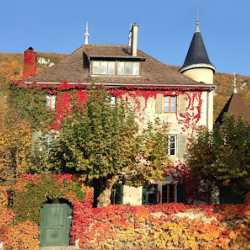 KenZen Shiatsu et Yoga Lyon - chateau